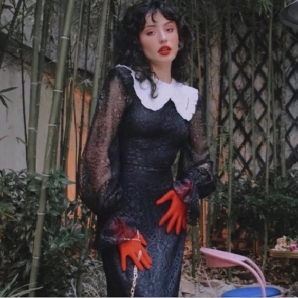 The Vampire's Wife X H&M The Night Whisperer Black Lace Dress 🖤 - Picture 10 of 17